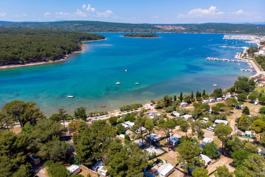 Vizura