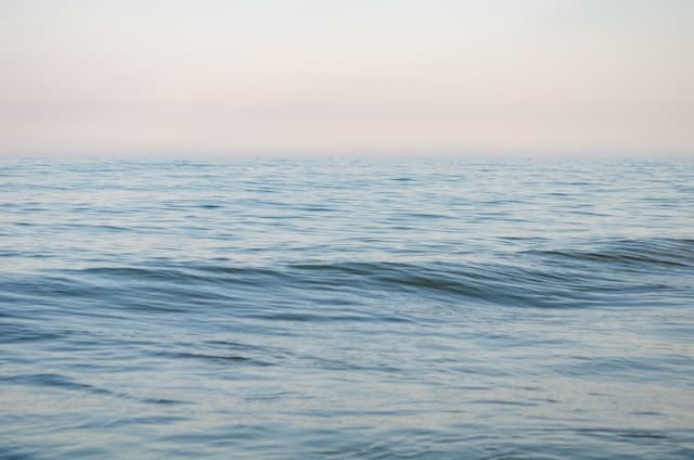 Ivan rohovchenko jcuhhsdg5oi unsplash